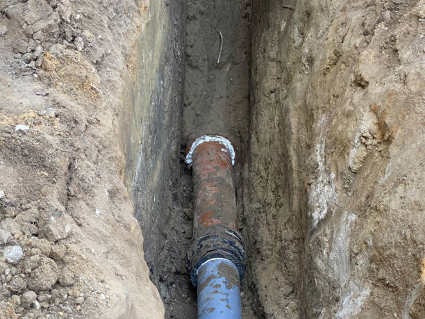  Westbury, NY Water damage restoration Pros