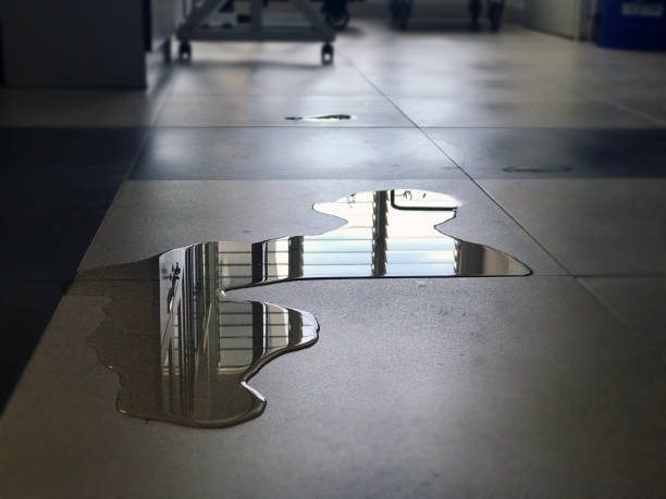 Best Emergency water damage restoration  in Westbury, NY