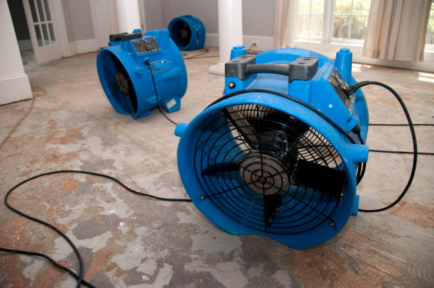 Best Basement water damage restoration  in Westbury, NY