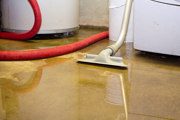Best Water damage cleanup near me  in Westbury, NY